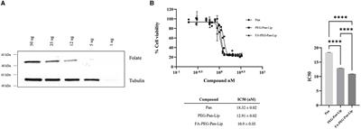 Panobinostat-loaded folate targeted liposomes as a promising drug delivery system for treatment of canine B-cell lymphoma